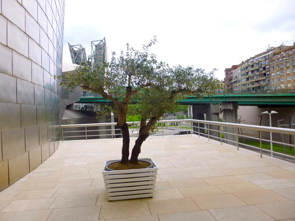 Bilbao - Guggenheim 79
