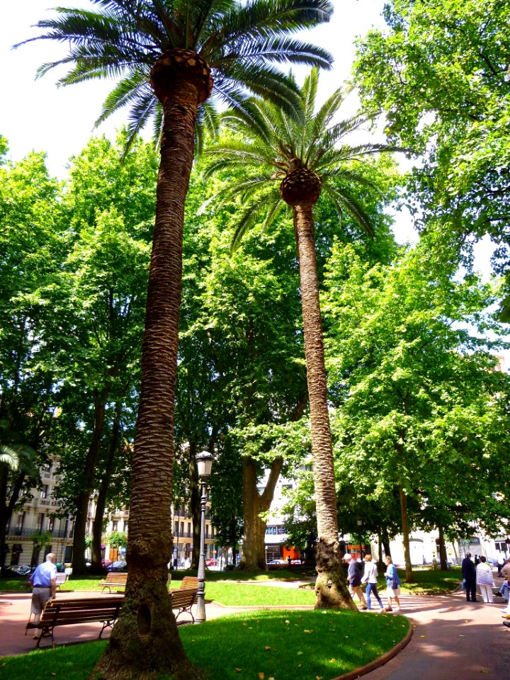 Bilbao - Jardines de Albia 03