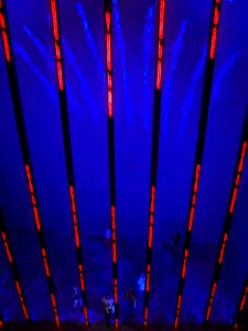 Bilbao - Museo Guggenheim - Installation for Bilbao (Jenny Holzer) 6
