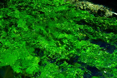 Water bach clear
