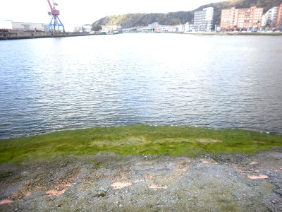 Bilbao - Ribera de Deusto (Deustuibarra), tal y como era en 2012 (24)