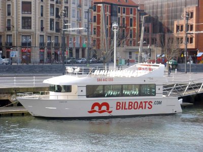 Bilbao - Ria (desde Campo Volantin) 1