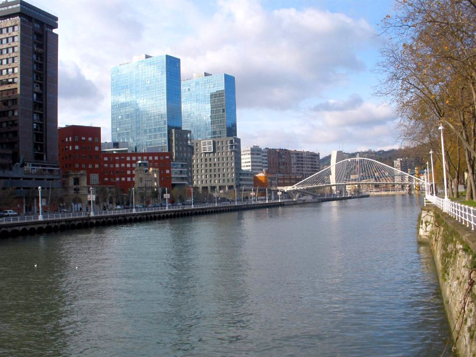 Bilbao - Ria (desde Campo Volantin) 2