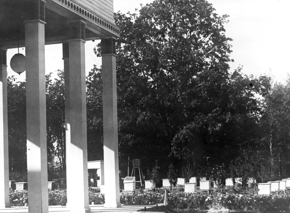 Bijenstand, Bestanddeelnr 195-0135