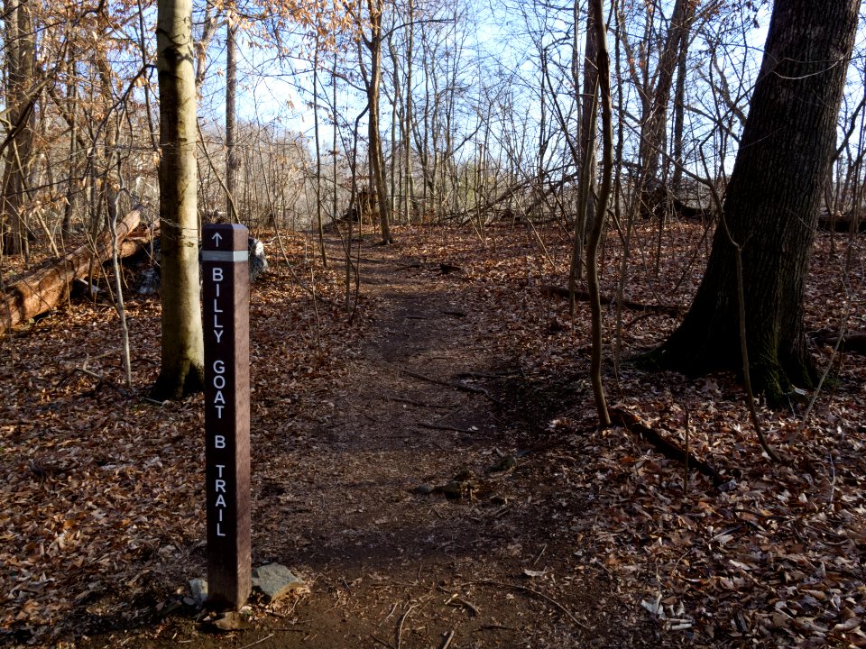 Billy Goat B Trail Beginning