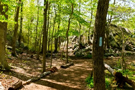 Billy Goat C Trail 0
