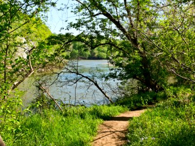 Billy Goat B Trail 1