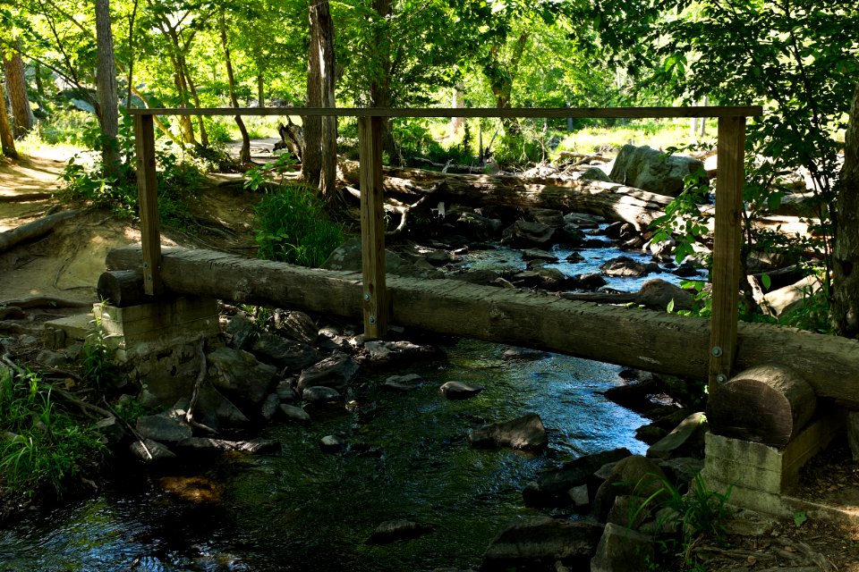 Billy Goat A Log Bridge