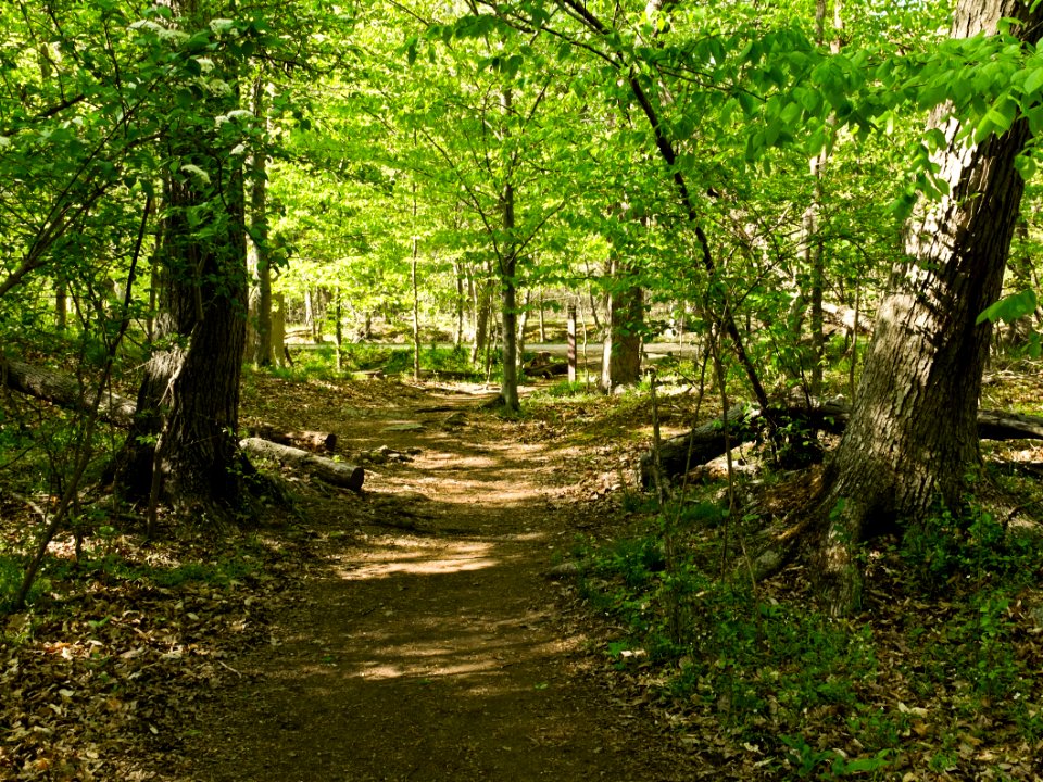 Billy Goat B Trail 7