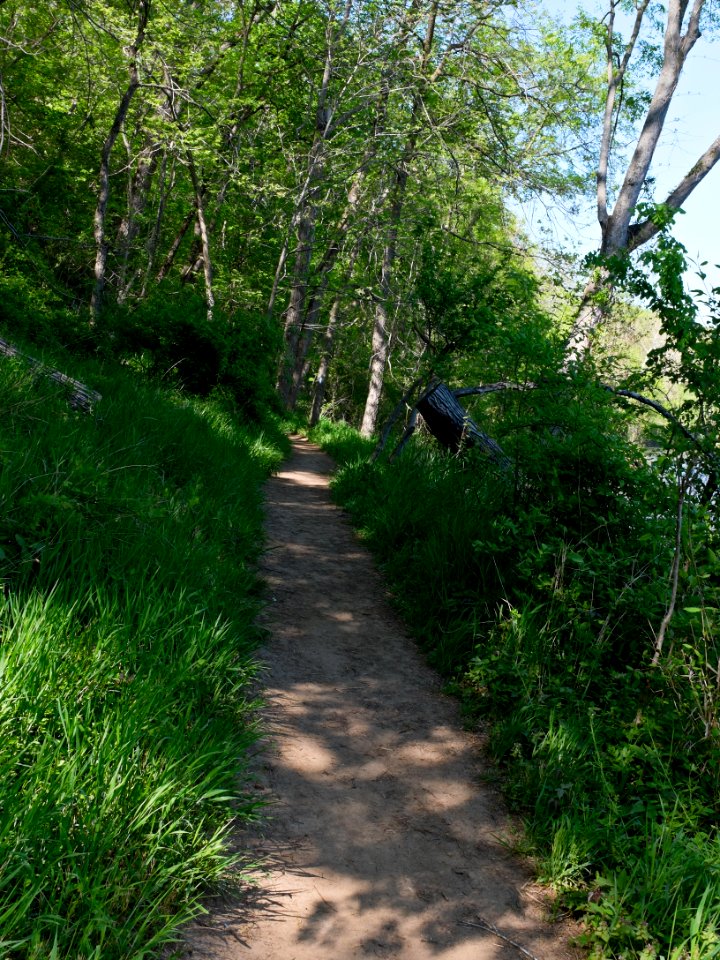 Billy Goat B Trail 3