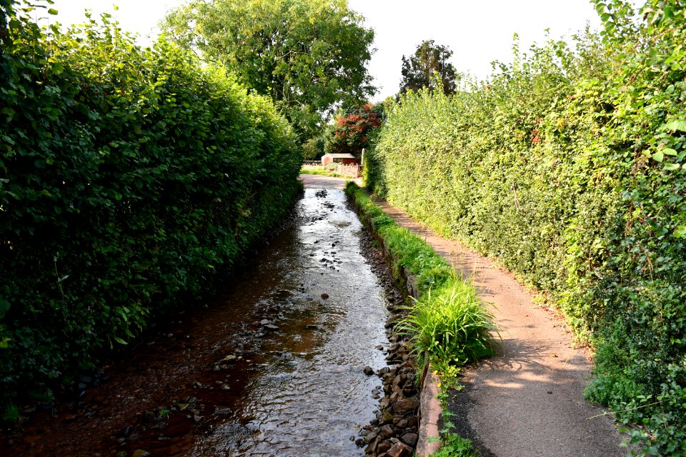 Bilbrook (2020-09-16) 07