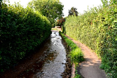 Bilbrook (2020-09-16) 07