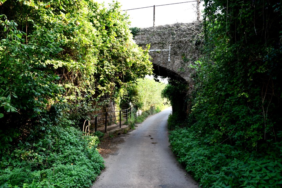 Bilbrook (2020-09-16) 02