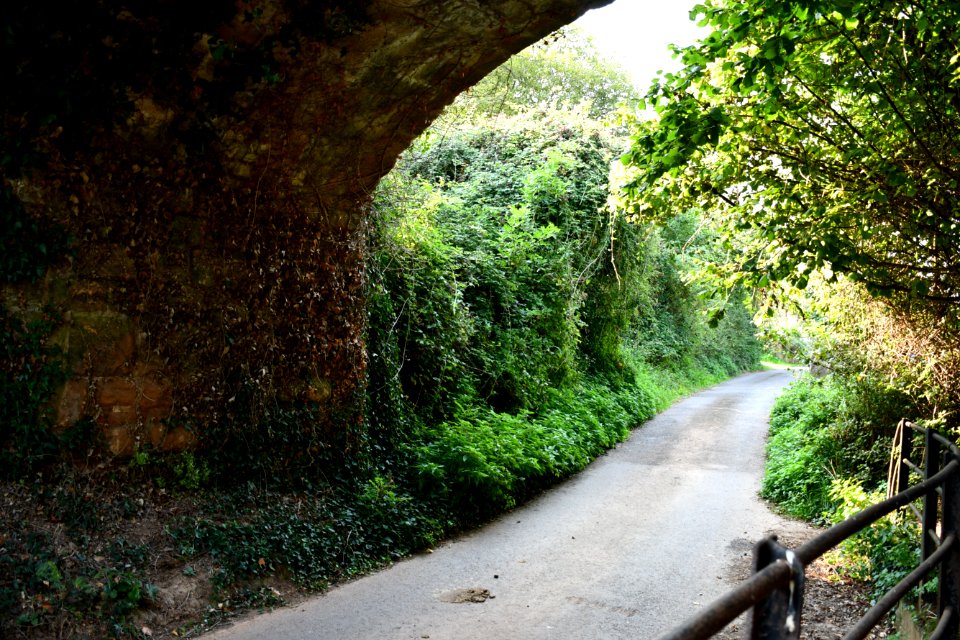 Bilbrook (2020-09-16) 01