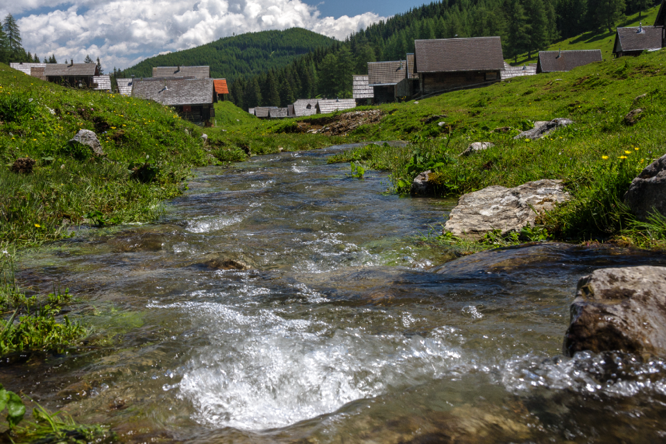 Austria nature alpine