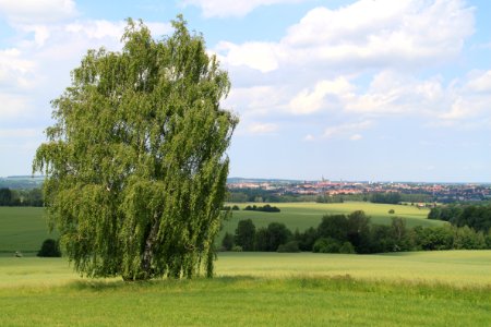 Binnewitz 2012-05-28-7864