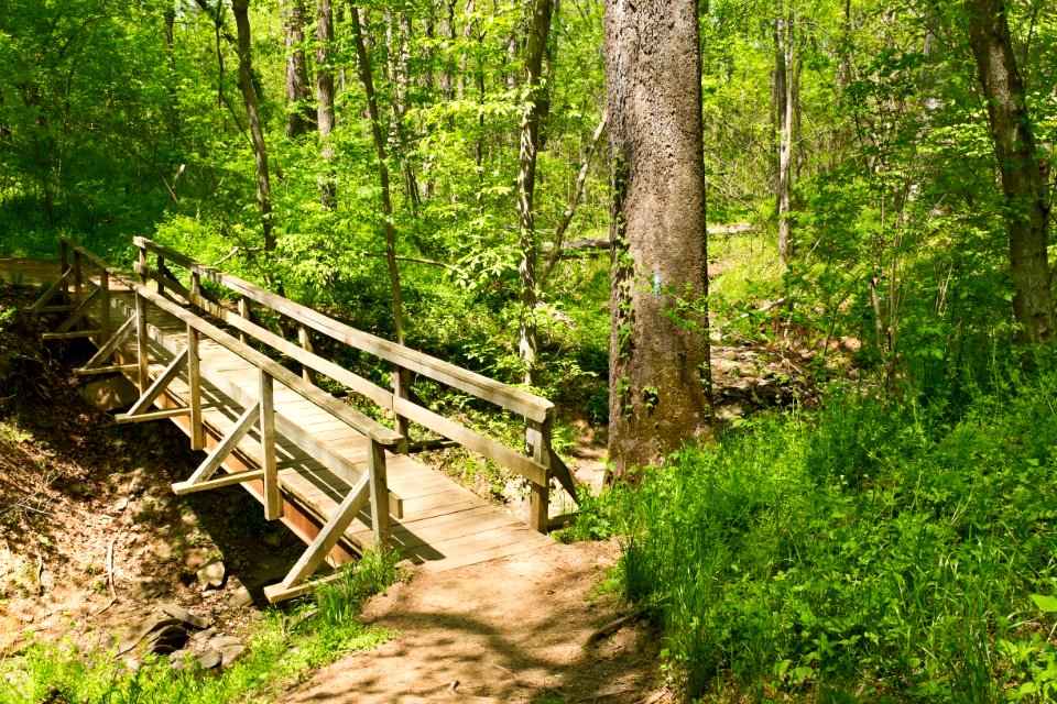 Billy Goat C Trail 8