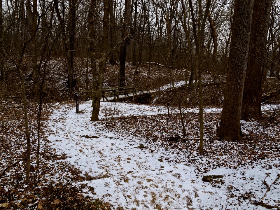 Billy Goat C Trail (midway)