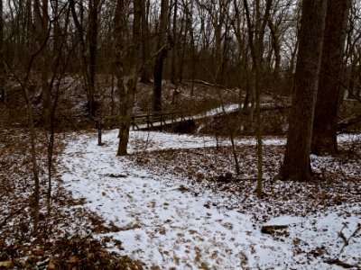 Billy Goat C Trail (midway)