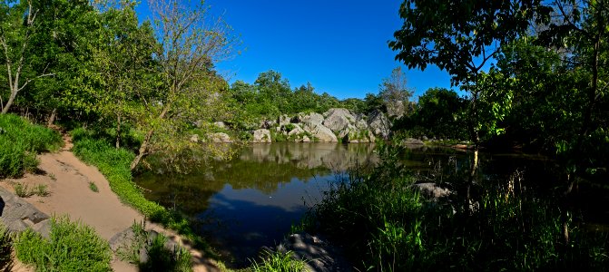 Billy Goat A Beaver Pond