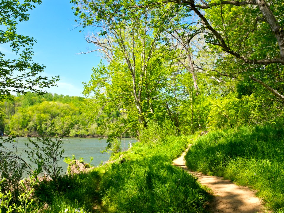 Billy Goat C Trail 3