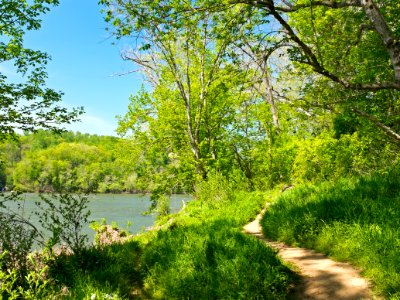 Billy Goat C Trail 3