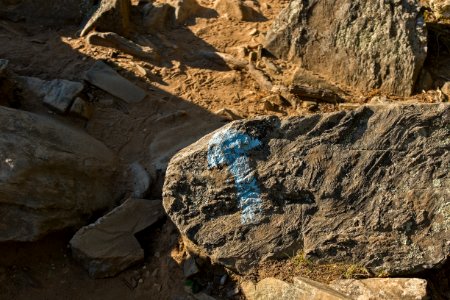 Billy Goat A Trail Arrow Marker