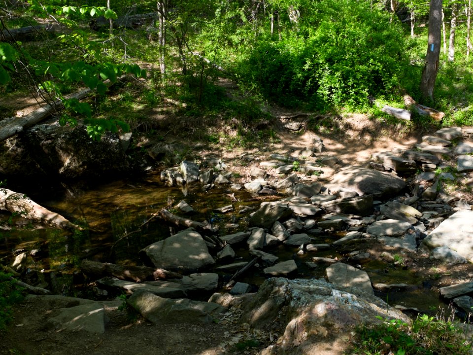 Billy Goat B Trail 8