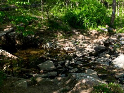 Billy Goat B Trail 8