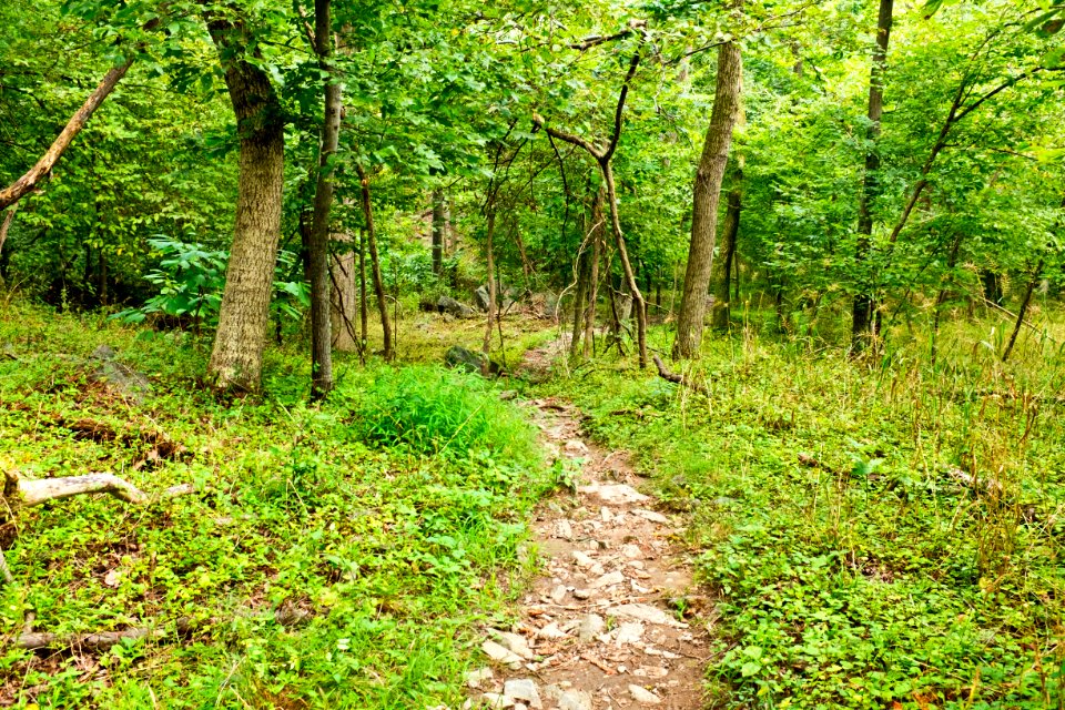 Billy Goat C Trail Carderock near end of trail