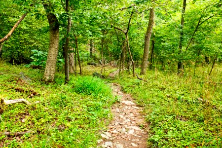 Billy Goat C Trail Carderock near end of trail