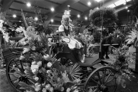 Binnententoonstelling Zomerbloemen op Floriade, Bestanddeelnr 932-2547