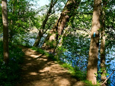 Billy Goat B Trail 4