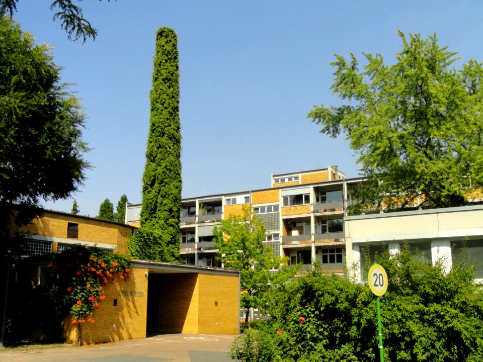 Biologische Institute - Botanischer Garten, Frankfurt am Main - DSC03140