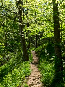 Billy Goat B Trail 2