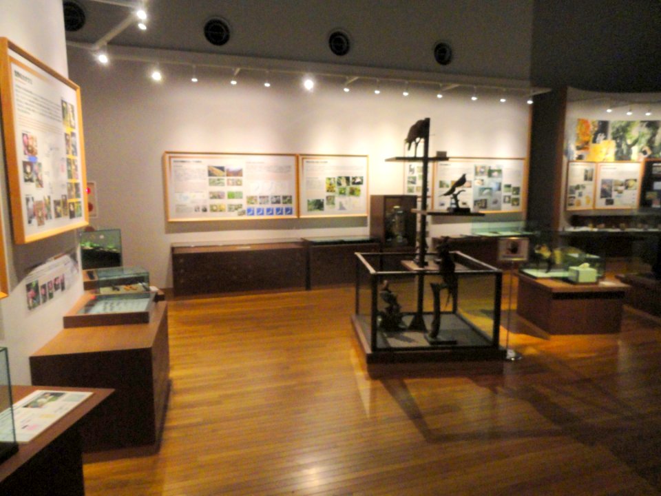 Biology - Kyoto University Museum - DSC06448