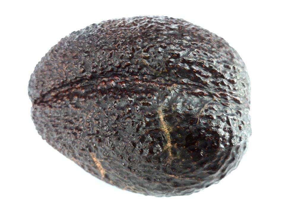 Bilobed avocado 2017 A