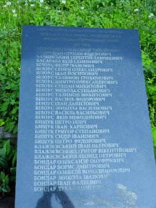 Bilylivka, Urkaine 41