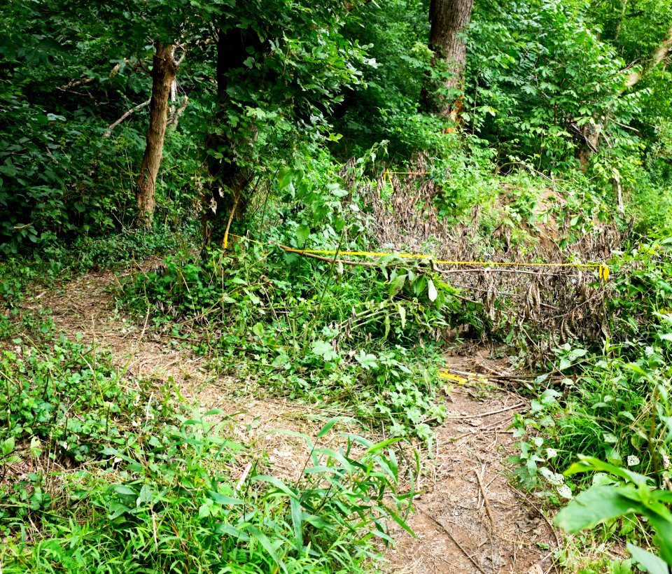 Billy Goat C Washout