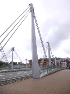 Bilbao - Puente Frank Gehry 1
