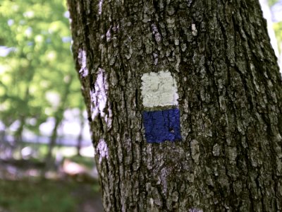 Billy Goat Marker Side Trail