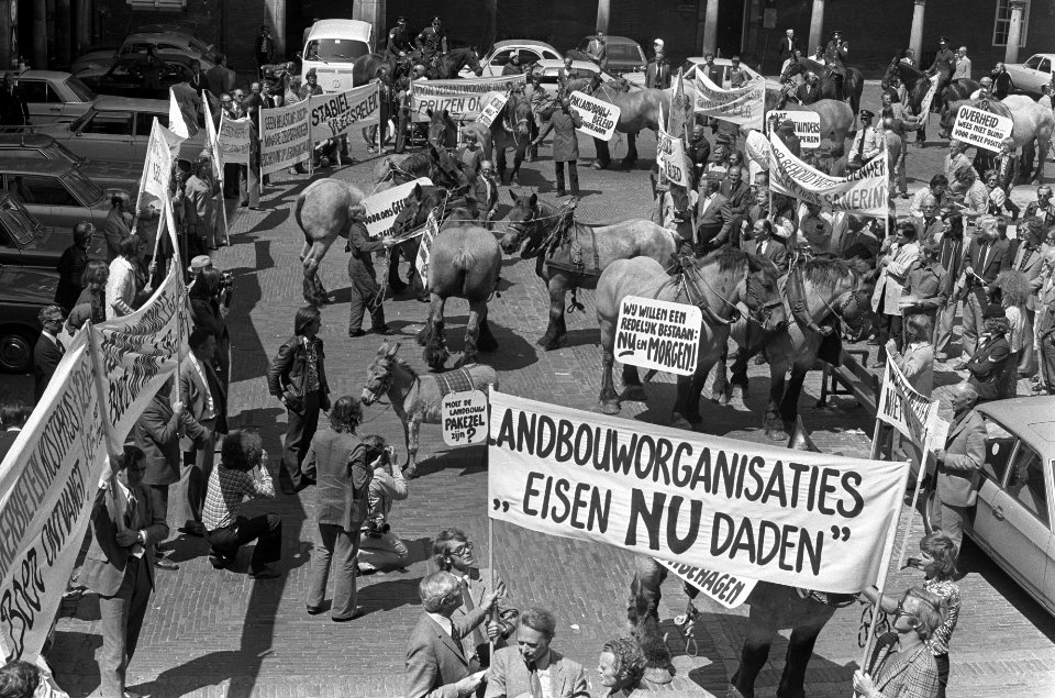 Binnenhof met onder meer paarden en een ezel, Bestanddeelnr 927-9909