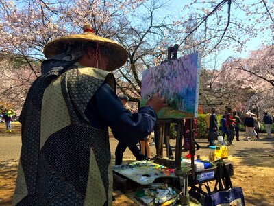 Blossom cherry japanese