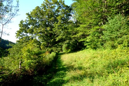 Bill Hill - Thetford, VT - DSC04128