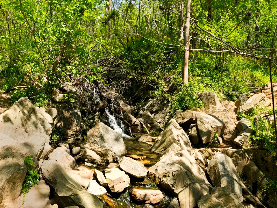 Billy Goat C Trail 7