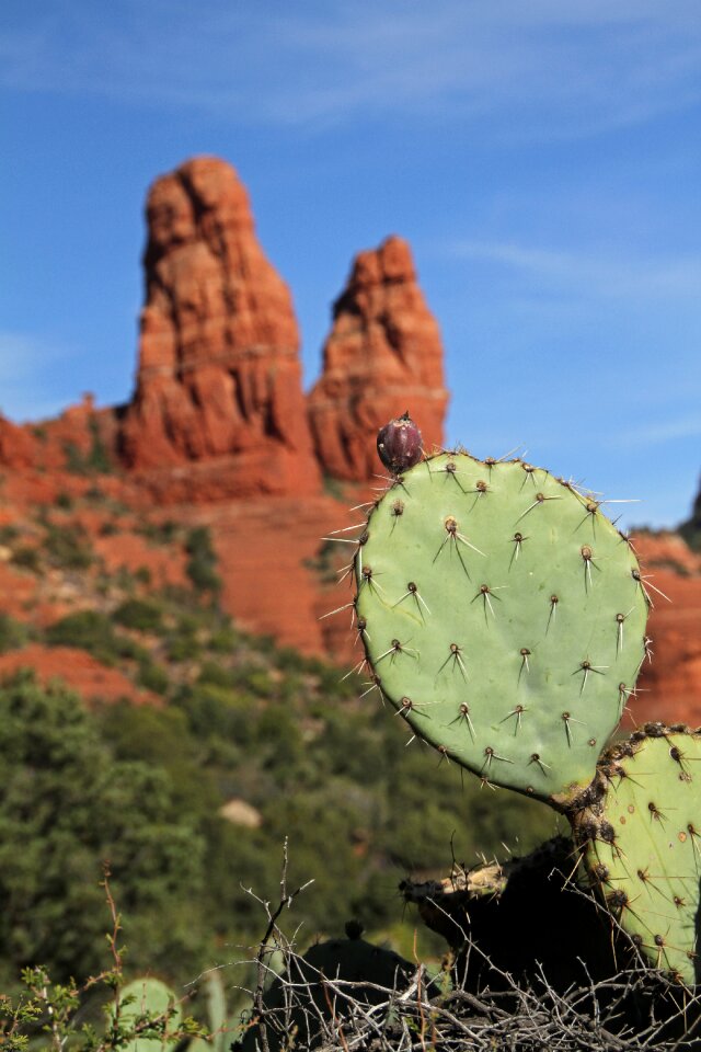 Red rocks buttes desert photo