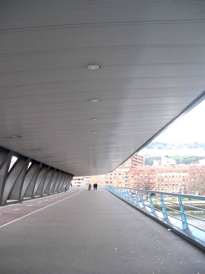 Bilbao - Puente Eukalduna 1
