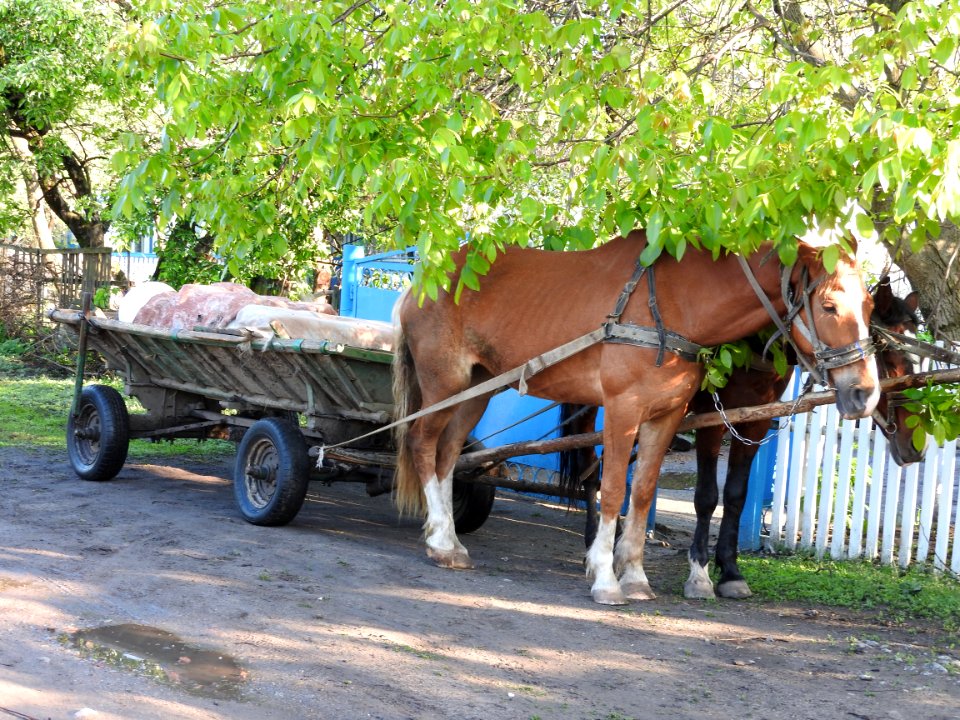 Bilylivka, Urkaine 59