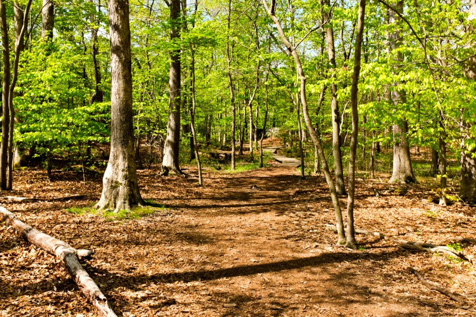 Billy Goat C Trail near beginning at Parking Lot