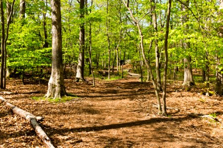 Billy Goat C Trail near beginning at Parking Lot